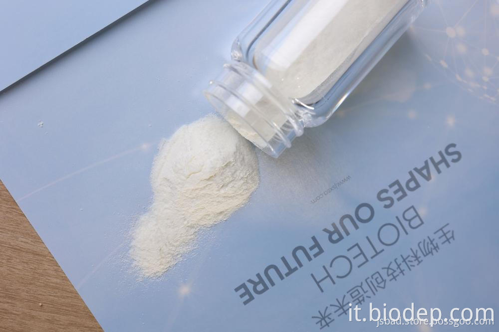 Akkermansia Muciniphila